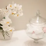 Apartman Exotic Oasis