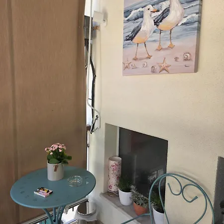 Exotic Oasis Bacvice *