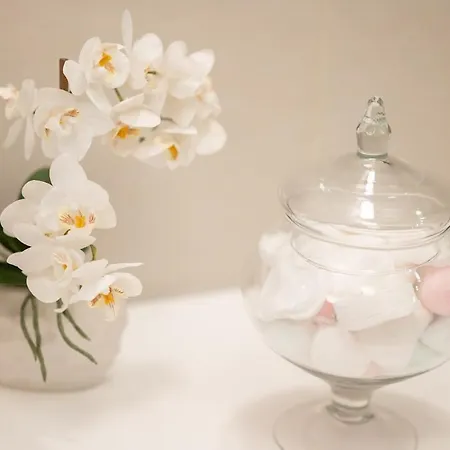 Apartmán Exotic Oasis Bacvice