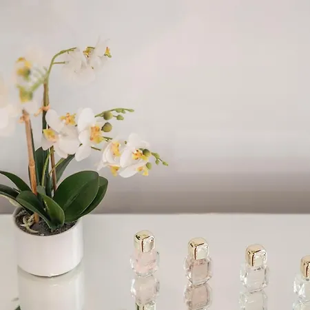 Exotic Oasis Bacvice Apartmán *