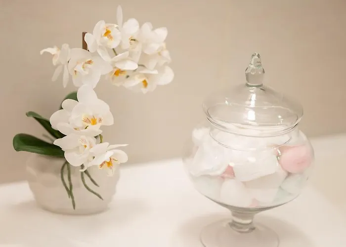 Appartement Exotic Oasis Bacvice