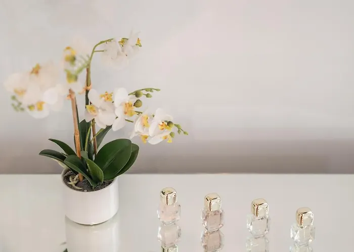 Exotic Oasis Bacvice Appartement *