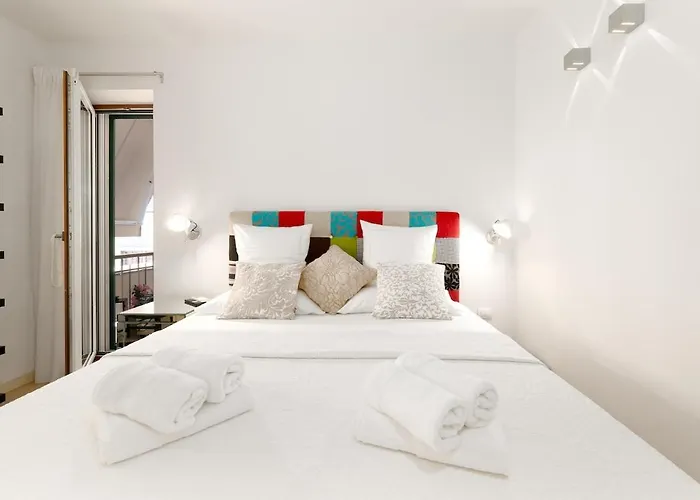 Exotic Oasis Bacvice Split