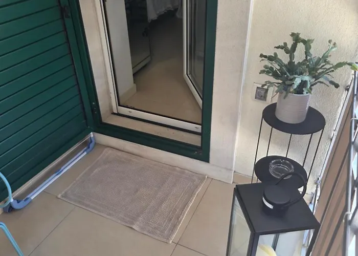 Exotic Oasis Bacvice