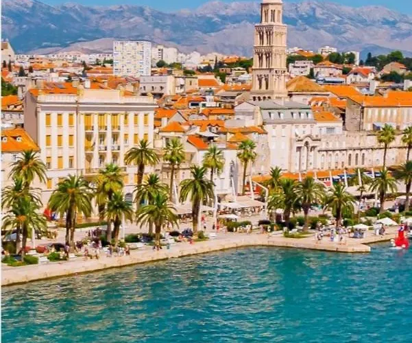 Exotic Oasis Bacvice Split