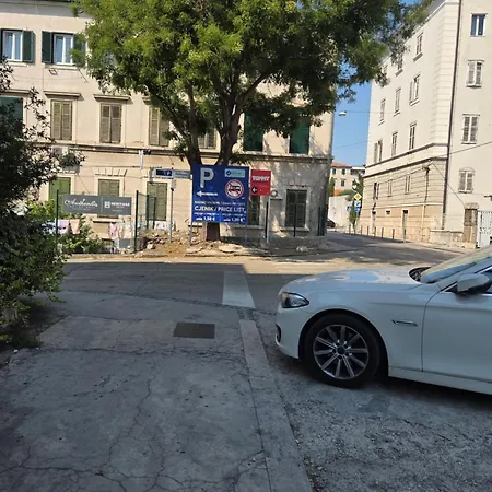 Exotic Oasis Bacvice * Σπλιτ